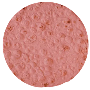 Liba® Beetroot flatbread